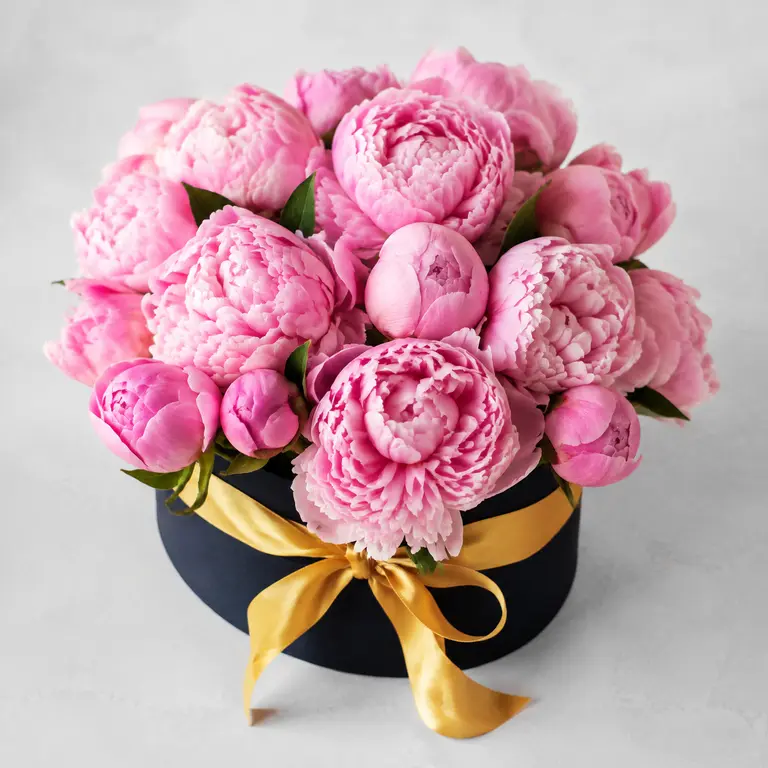 Peony box